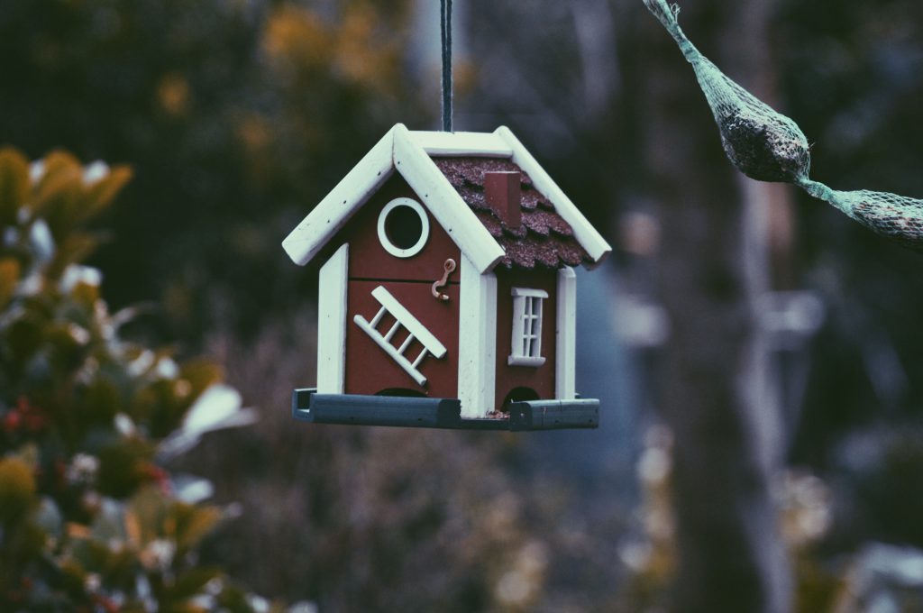 Maison pour oiseaux en bois