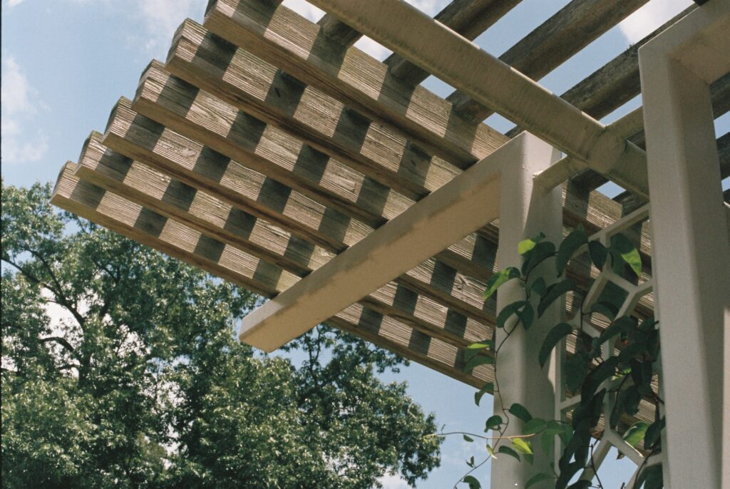 budget pergola