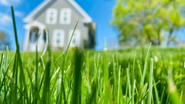 réglementation environnementale